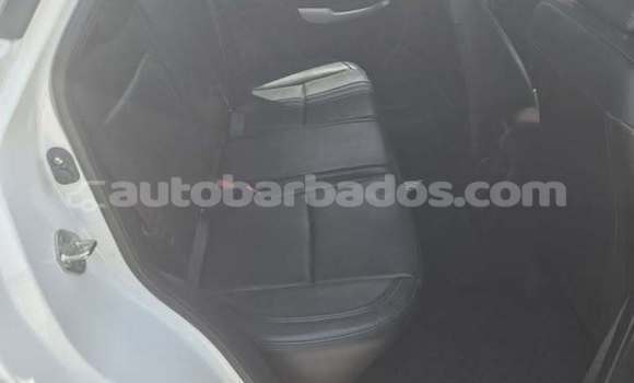 Buy Used Suzuki Baleno White Car in Bridgetown in Barbados Buy Used Suzuki Baleno White Car in Bridgetown in Barbados