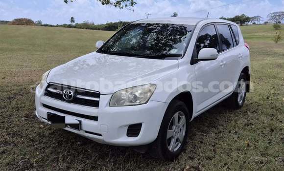 Buy Used Toyota RAV4 White Car in Bridgetown in Barbados Buy Used Toyota RAV4 White Car in Bridgetown in Barbados