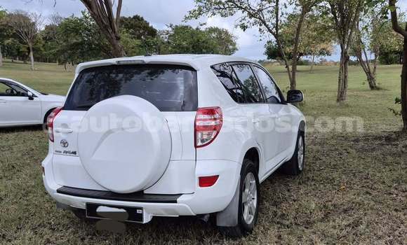 Buy Used Toyota RAV4 White Car in Bridgetown in Barbados Buy Used Toyota RAV4 White Car in Bridgetown in Barbados