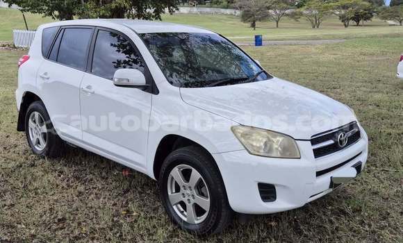 Buy Used Toyota RAV4 White Car in Bridgetown in Barbados Buy Used Toyota RAV4 White Car in Bridgetown in Barbados
