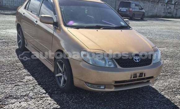 Buy Used Toyota Nadia Other Car in Bridgetown in Barbados Buy Used Toyota Nadia Other Car in Bridgetown in Barbados