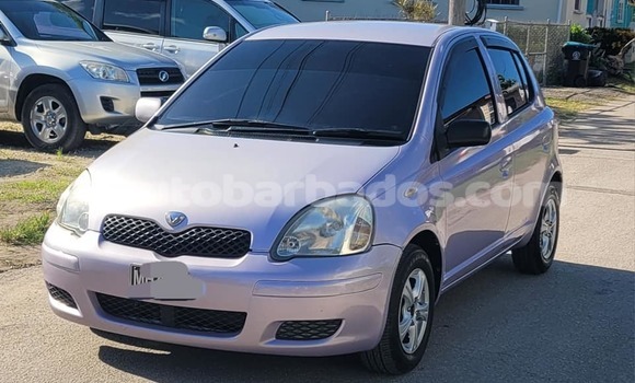 Buy Used Toyota Vitz Other Car in Bridgetown in Barbados Buy Used Toyota Vitz Other Car in Bridgetown in Barbados