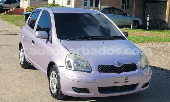 Buy Used Toyota Vitz Other Car in Bridgetown in Barbados Buy Used Toyota Vitz Other Car in Bridgetown in Barbados