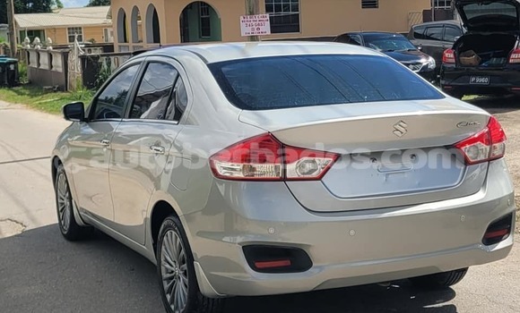 Buy Used Suzuki Ciaz Other Car in Bridgetown in Barbados Buy Used Suzuki Ciaz Other Car in Bridgetown in Barbados