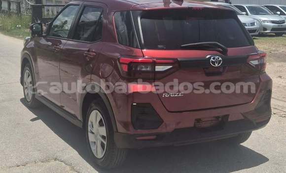 Buy Used Toyota Ractis Red Car in Bridgetown in Barbados Buy Used Toyota Ractis Red Car in Bridgetown in Barbados