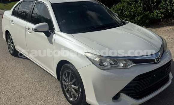 Buy Used Toyota Axio White Car in Bridgetown in Barbados