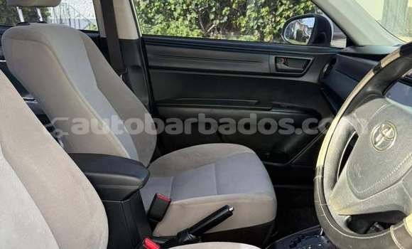 Buy Used Toyota Axio White Car in Bridgetown in Barbados Buy Used Toyota Axio White Car in Bridgetown in Barbados