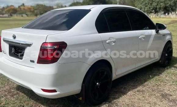 Buy Used Toyota Axio Other Car in Bridgetown in Barbados Buy Used Toyota Axio Other Car in Bridgetown in Barbados