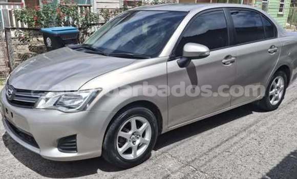 Buy Used Toyota Axio Other Car in Bridgetown in Barbados Buy Used Toyota Axio Other Car in Bridgetown in Barbados
