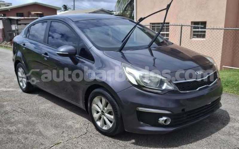 Big with watermark kia rio barbados bathsheba 4624