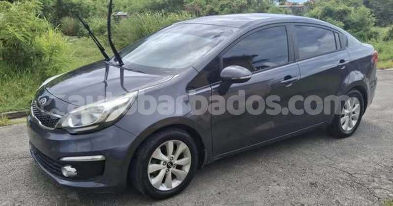 Big with watermark kia rio barbados bathsheba 4624