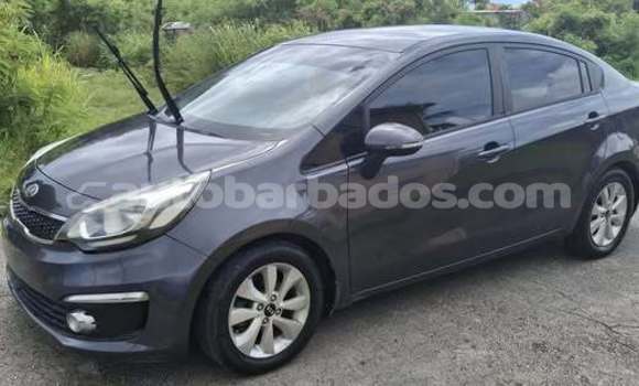 Buy Used Kia Rio Other Car in Bathsheba in Barbados Buy Used Kia Rio Other Car in Bathsheba in Barbados