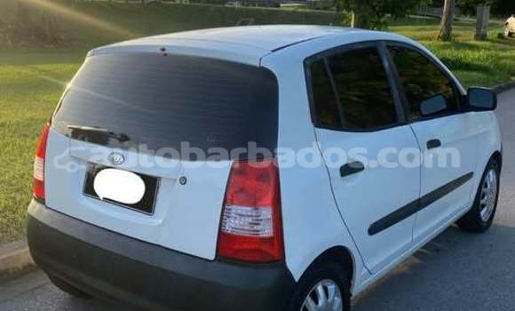 Buy Used Kia Picanto Other Car in Bridgetown in Barbados Buy Used Kia Picanto Other Car in Bridgetown in Barbados