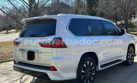 Buy Used Lexus LX 570 White Car in Bathsheba in Barbados Buy Used Lexus LX 570 White Car in Bathsheba in Barbados