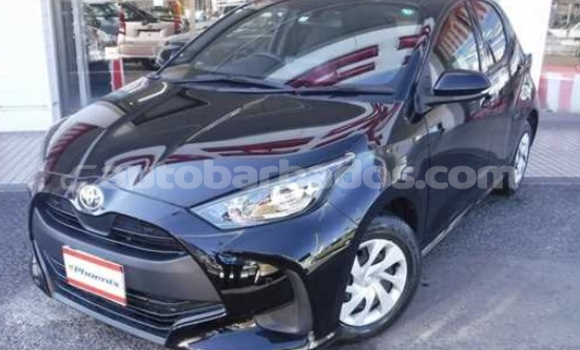 Buy Used Toyota Yaris Black Car in Bridgetown in Barbados