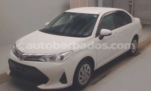 Buy Used Toyota Corolla White Car in Bridgetown in Barbados