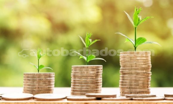 Buy Used AC Ace Black Car in Hillaby in Barbados