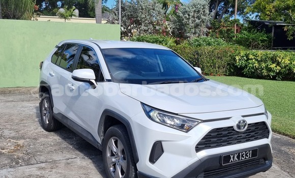 Buy Used Toyota RAV4 White Car in Bridgetown in Barbados