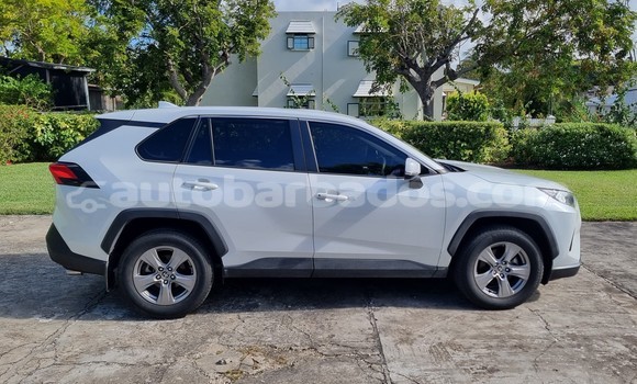 Buy Used Toyota RAV4 White Car in Bridgetown in Barbados Buy Used Toyota RAV4 White Car in Bridgetown in Barbados