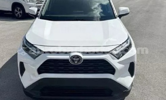 Buy Used Toyota RAV4 White Car in Bridgetown in Barbados