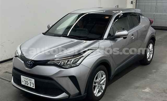 Buy Used Toyota C-HR Other Car in Bridgetown in Barbados