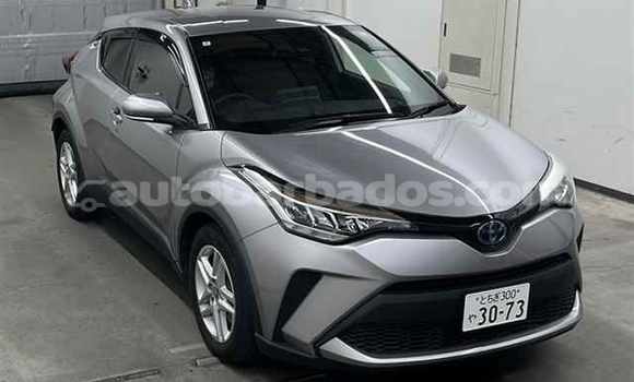 Buy Used Toyota C-HR Other Car in Bridgetown in Barbados Buy Used Toyota C-HR Other Car in Bridgetown in Barbados