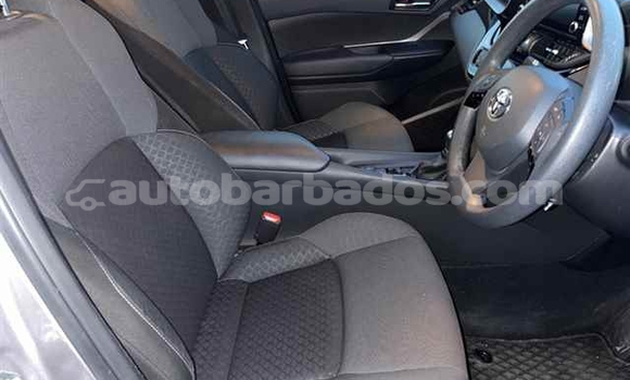 Buy Used Toyota C-HR Other Car in Bridgetown in Barbados Buy Used Toyota C-HR Other Car in Bridgetown in Barbados