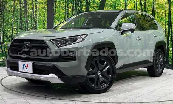 Buy Used Nissan X–Trail Green Car in Bridgetown in Barbados