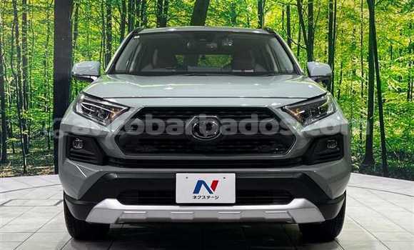 Buy Used Nissan X–Trail Green Car in Bridgetown in Barbados Buy Used Nissan X–Trail Green Car in Bridgetown in Barbados