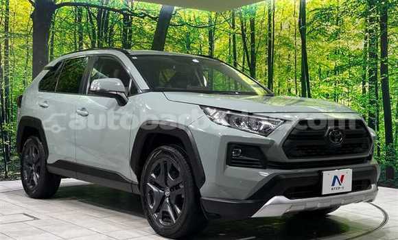 Buy Used Nissan X–Trail Green Car in Bridgetown in Barbados Buy Used Nissan X–Trail Green Car in Bridgetown in Barbados