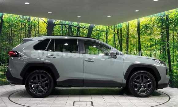 Buy Used Nissan X–Trail Green Car in Bridgetown in Barbados Buy Used Nissan X–Trail Green Car in Bridgetown in Barbados