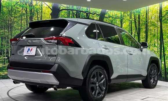 Buy Used Nissan X–Trail Green Car in Bridgetown in Barbados Buy Used Nissan X–Trail Green Car in Bridgetown in Barbados