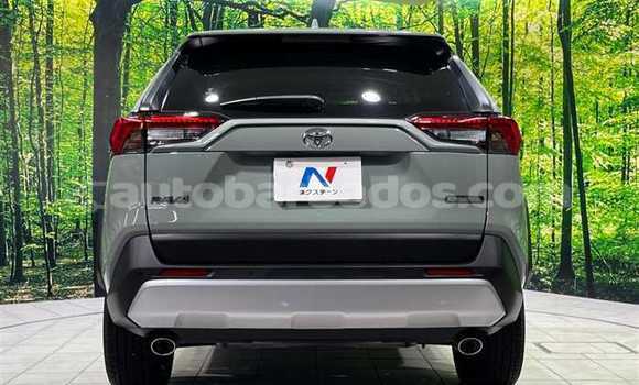 Buy Used Nissan X–Trail Green Car in Bridgetown in Barbados Buy Used Nissan X–Trail Green Car in Bridgetown in Barbados