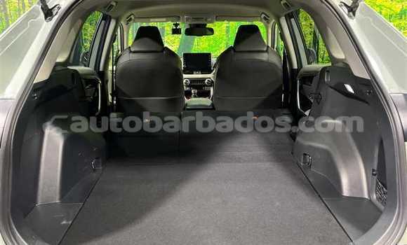 Buy Used Nissan X–Trail Green Car in Bridgetown in Barbados Buy Used Nissan X–Trail Green Car in Bridgetown in Barbados