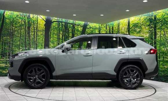 Buy Used Nissan X–Trail Green Car in Bridgetown in Barbados Buy Used Nissan X–Trail Green Car in Bridgetown in Barbados