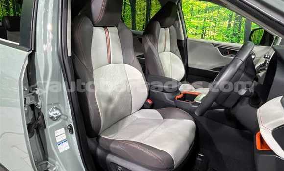 Buy Used Nissan X–Trail Green Car in Bridgetown in Barbados Buy Used Nissan X–Trail Green Car in Bridgetown in Barbados