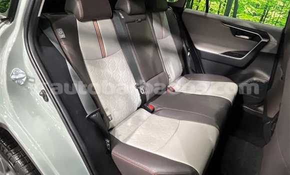 Buy Used Nissan X–Trail Green Car in Bridgetown in Barbados Buy Used Nissan X–Trail Green Car in Bridgetown in Barbados