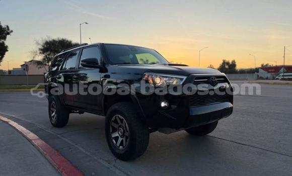Buy Used Toyota 4Runner Black Car in Speightstown in Barbados