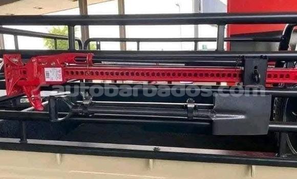 Buy Used Toyota Land Cruiser Beige Car in Bridgetown in Barbados Buy Used Toyota Land Cruiser Beige Car in Bridgetown in Barbados