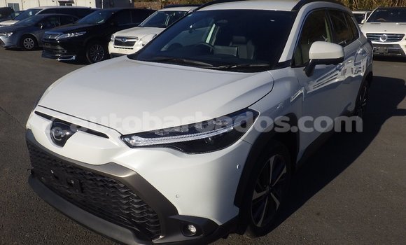 Buy Used Toyota Corolla Cross White Car in Bridgetown in Barbados