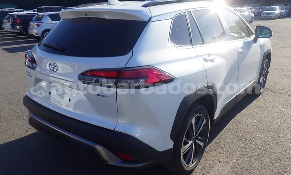 Buy Used Toyota Corolla Cross White Car in Bridgetown in Barbados Buy Used Toyota Corolla Cross White Car in Bridgetown in Barbados