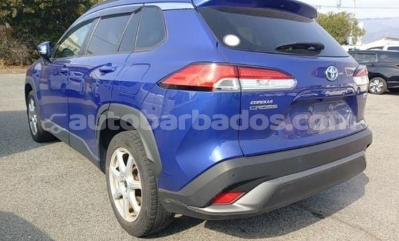 Buy Used Toyota Corolla Cross Blue Car in Bridgetown in Barbados Buy Used Toyota Corolla Cross Blue Car in Bridgetown in Barbados