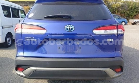 Buy Used Toyota Corolla Cross Blue Car in Bridgetown in Barbados Buy Used Toyota Corolla Cross Blue Car in Bridgetown in Barbados