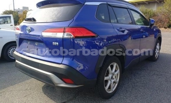 Buy Used Toyota Corolla Cross Blue Car in Bridgetown in Barbados Buy Used Toyota Corolla Cross Blue Car in Bridgetown in Barbados