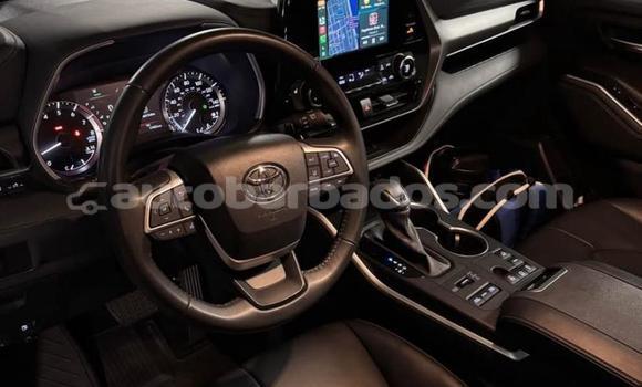 Buy Used Toyota Highlander White Car in Bridgetown in Barbados Buy Used Toyota Highlander White Car in Bridgetown in Barbados