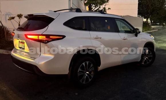 Buy Used Toyota Highlander White Car in Bridgetown in Barbados Buy Used Toyota Highlander White Car in Bridgetown in Barbados