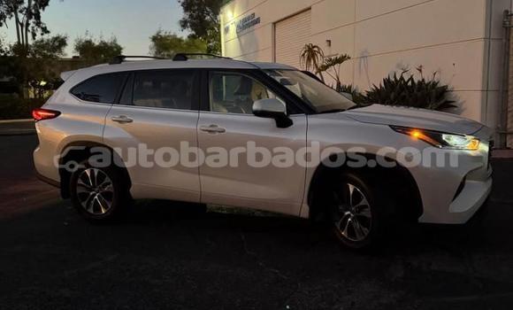 Buy Used Toyota Highlander White Car in Bridgetown in Barbados Buy Used Toyota Highlander White Car in Bridgetown in Barbados