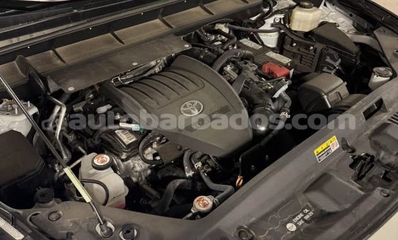Buy Used Toyota Highlander White Car in Bridgetown in Barbados Buy Used Toyota Highlander White Car in Bridgetown in Barbados