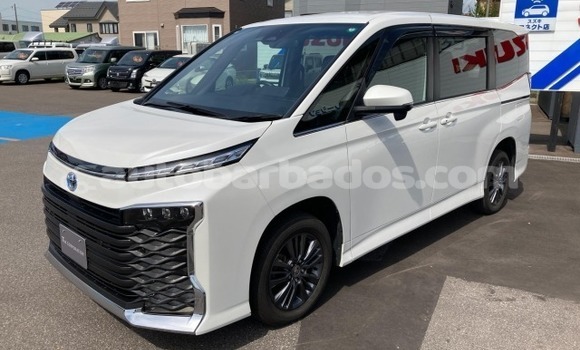 Buy Used Toyota Voxy White Car in Import - Dubai in Barbados