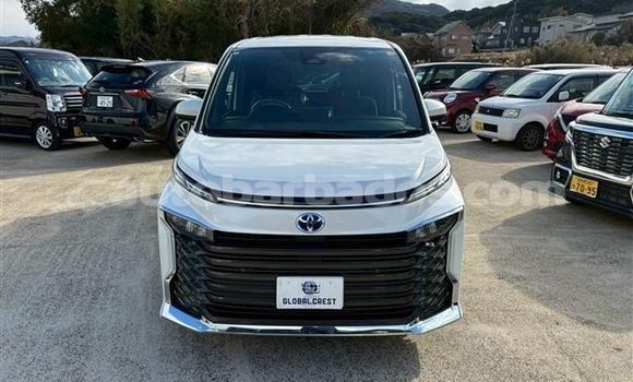 Buy Used Toyota Voxy White Car in Bridgetown in Barbados Buy Used Toyota Voxy White Car in Bridgetown in Barbados